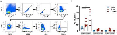 Characterization of Rhesus Macaque Liver-Resident CD49a+ NK Cells During Retrovirus Infections